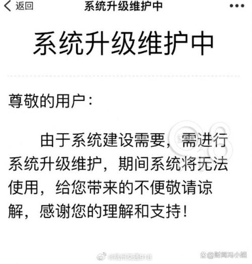 在浙江,相亲网站都黄了,政府"分配对象"